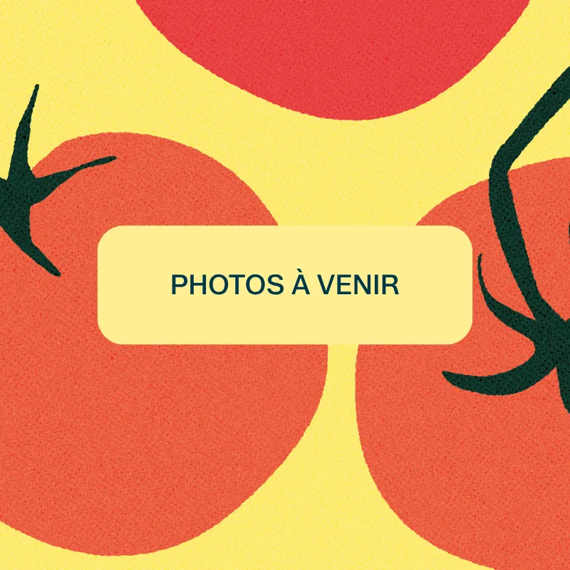 poké végétarien